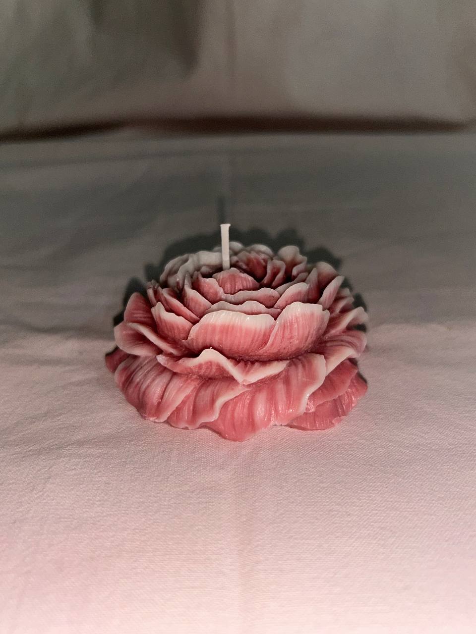 peony flower