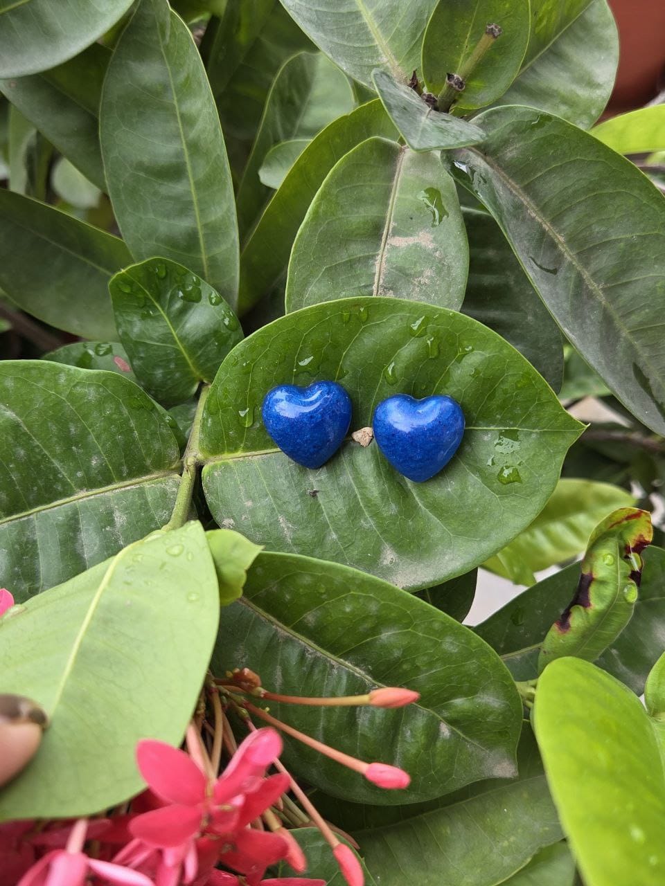 heart earrings