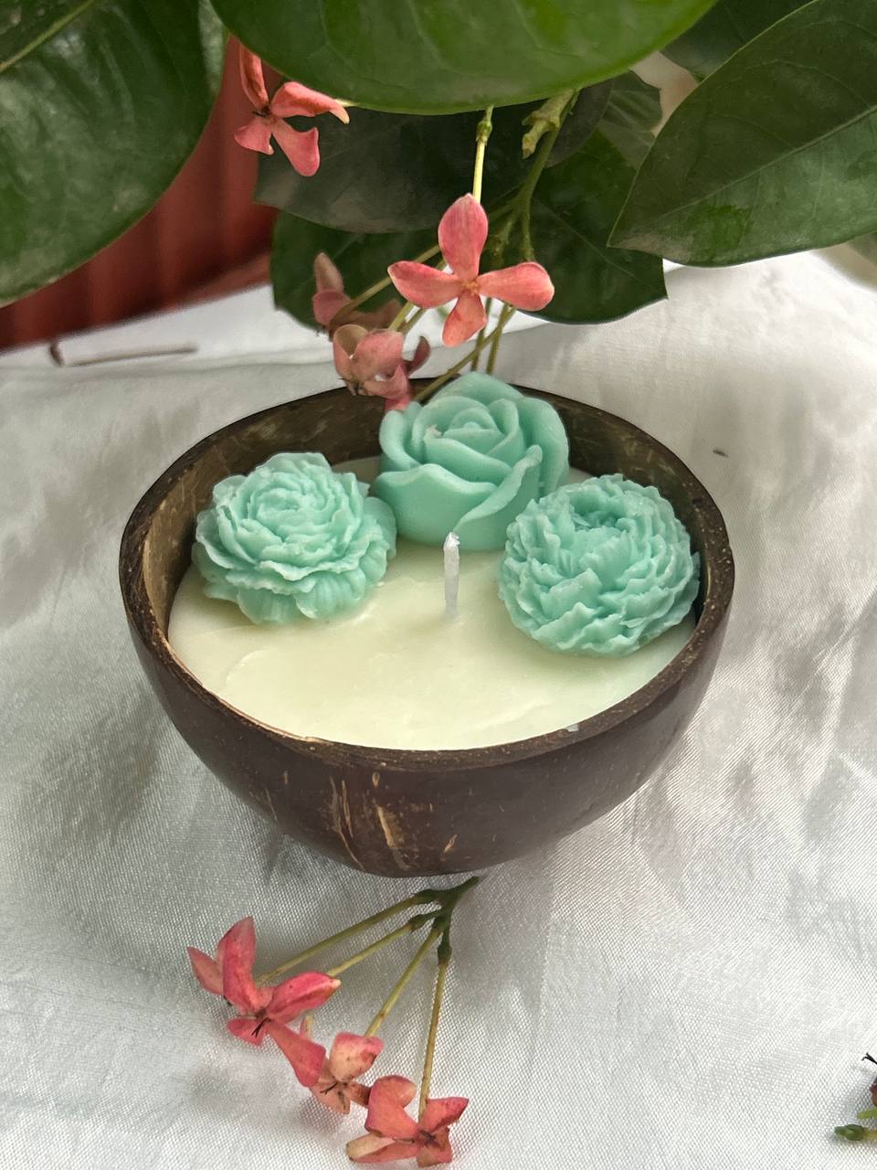 coconut shell candle