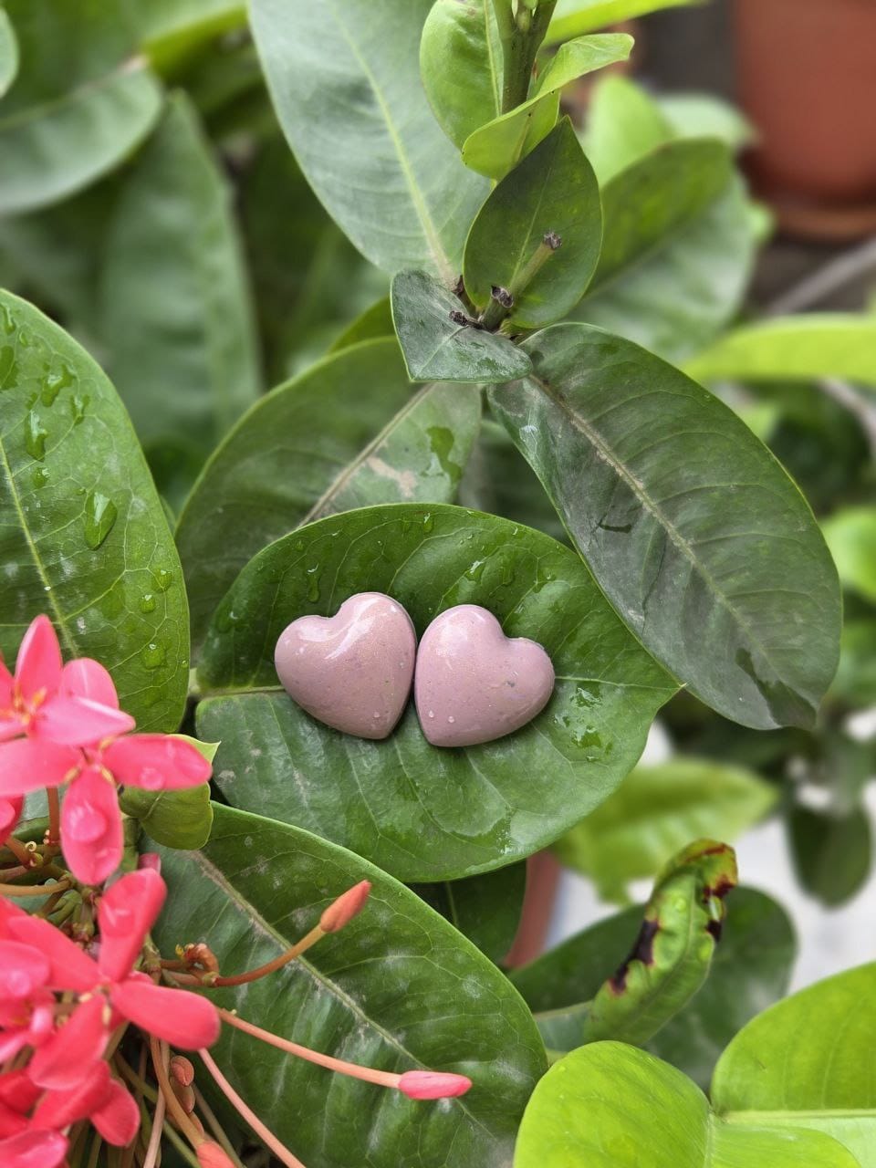 heart earrings